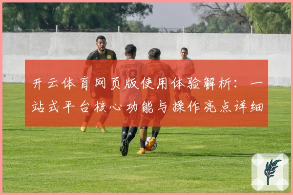 开云体育网页版使用体验解析：一站式平台核心功能与操作亮点详细评测